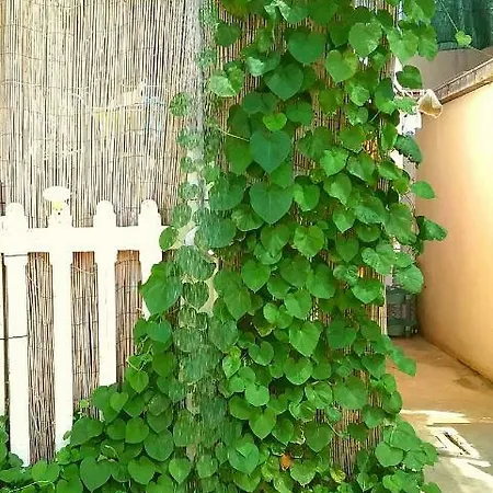 Appartement Il Mio Paradiso