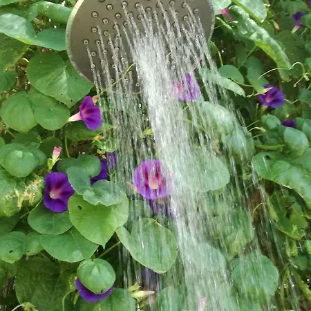 Apartament Il Mio Paradiso *