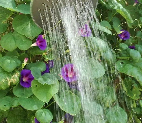 Lägenhet Il Mio Paradiso *